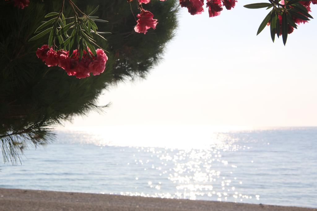 Chrismare Hotel ماتزيو المظهر الخارجي الصورة